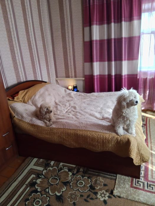 Продается дом г.Ленгер