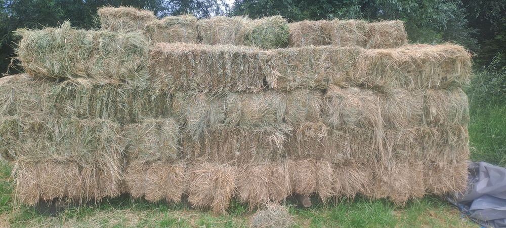 Vând baloti de fân și lucernă dreptunghiulari