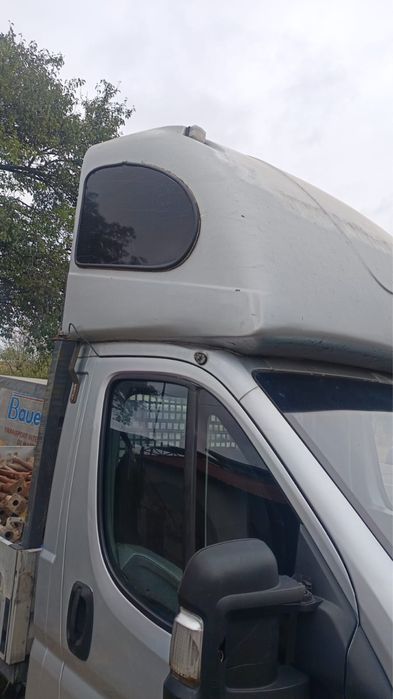 Vand pat dormitor boxer