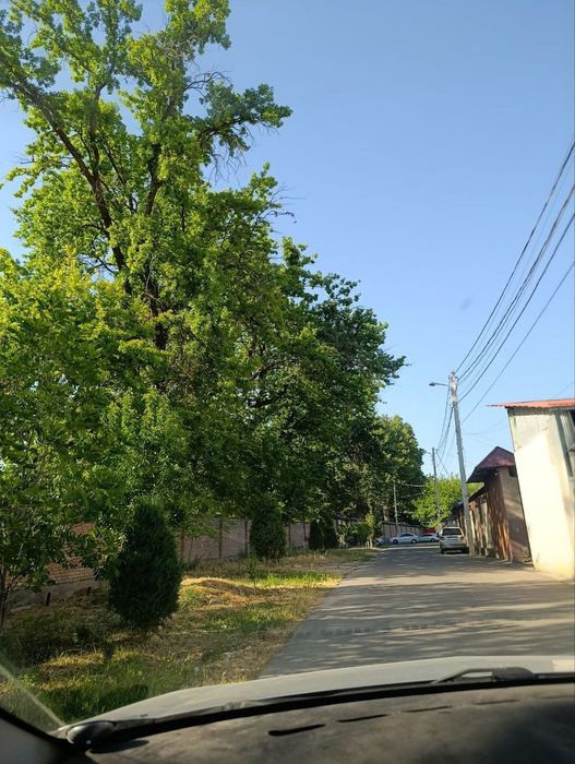 Пррдам участок Мирзоулугбек 40 сот .фасад 40 м.