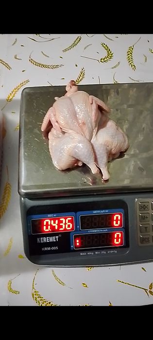 Мясо домашней перепёлки