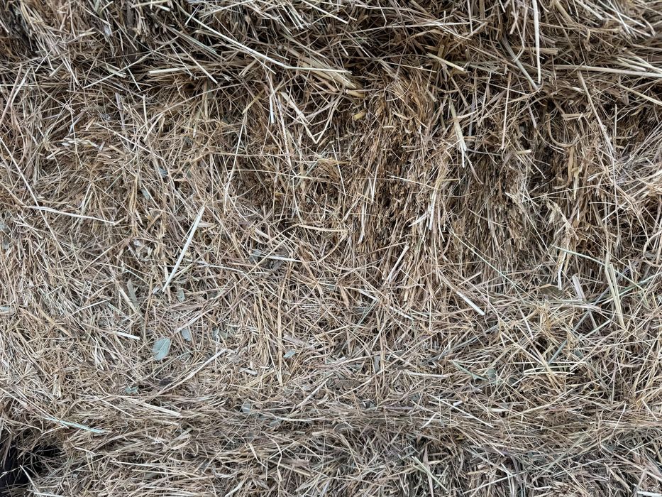 шөп прес пресс пшен