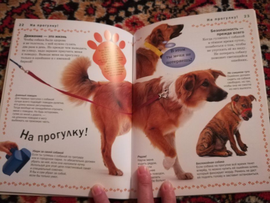 Книга по уходу собаки