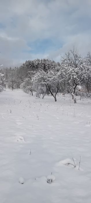 Vânzare - Teren intravilan cu livadă