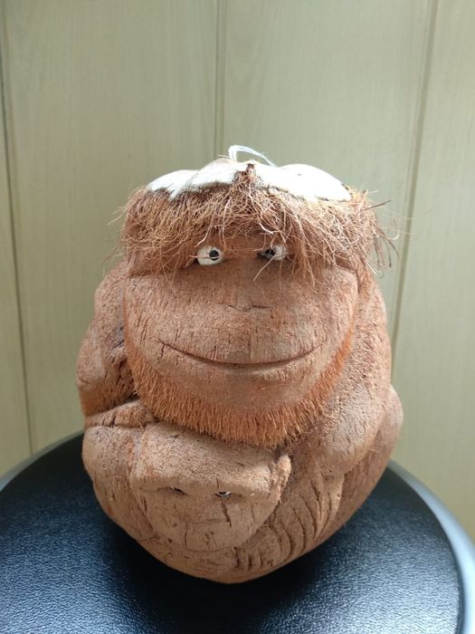 Сувениры из натурального какоса
