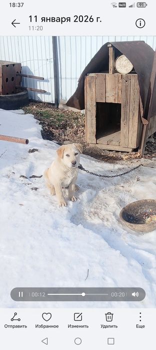 Продам Продам Продам