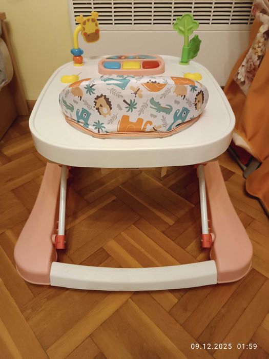 Проходилка (паяк)