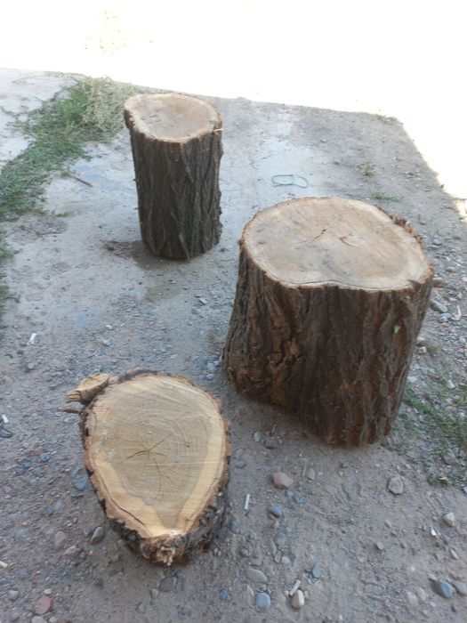 Продам пеньки для рубки мяса