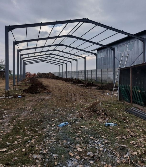 Vand hala pe structura metalica