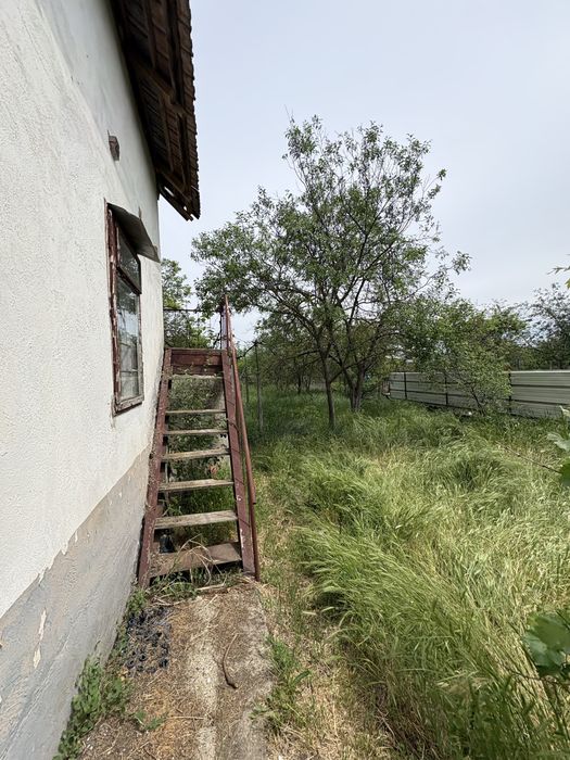Casa Variasu mare