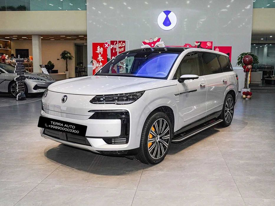 BYD Denza D9 и N9 электро и гибрид под заказ в быстрые сроки