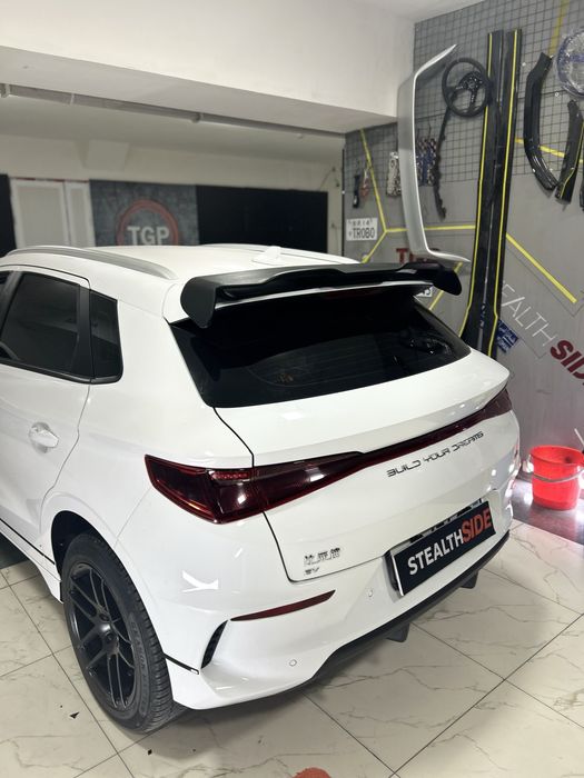 BYD e2 Spoiler Спойлер. Антикрыло Хвост Individual