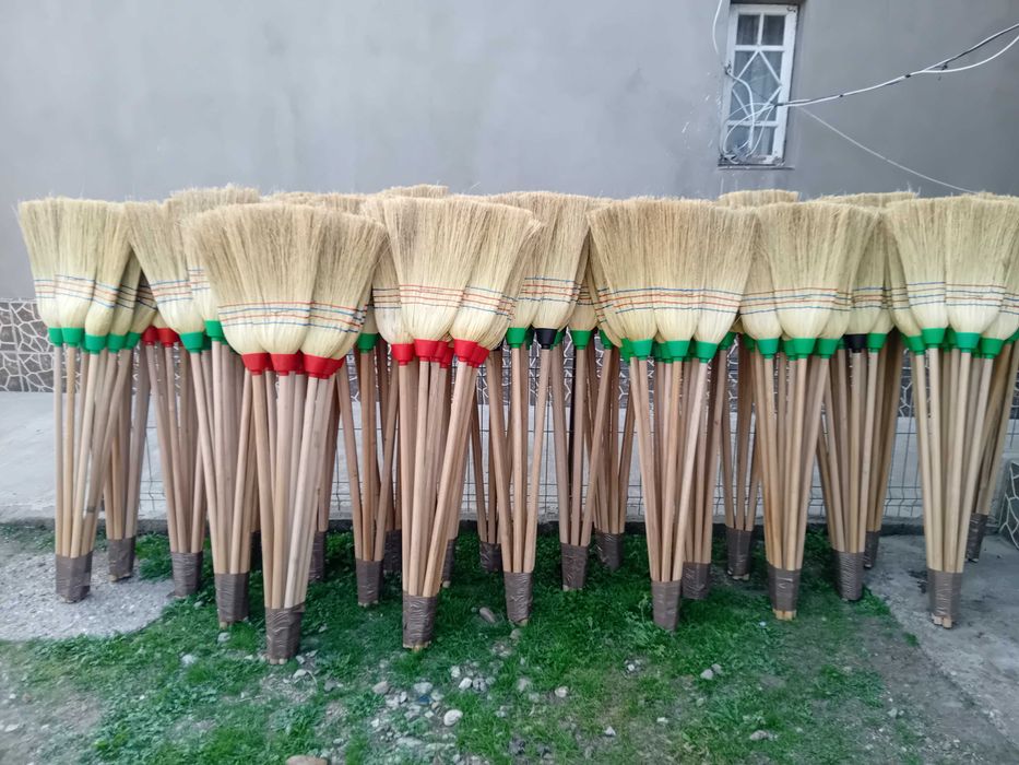 maturi ,producție 2025