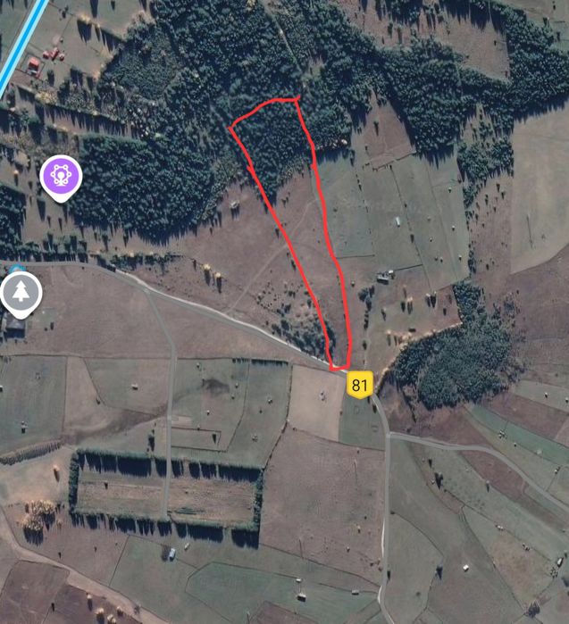 Teren de vânzare Șaru Dornei