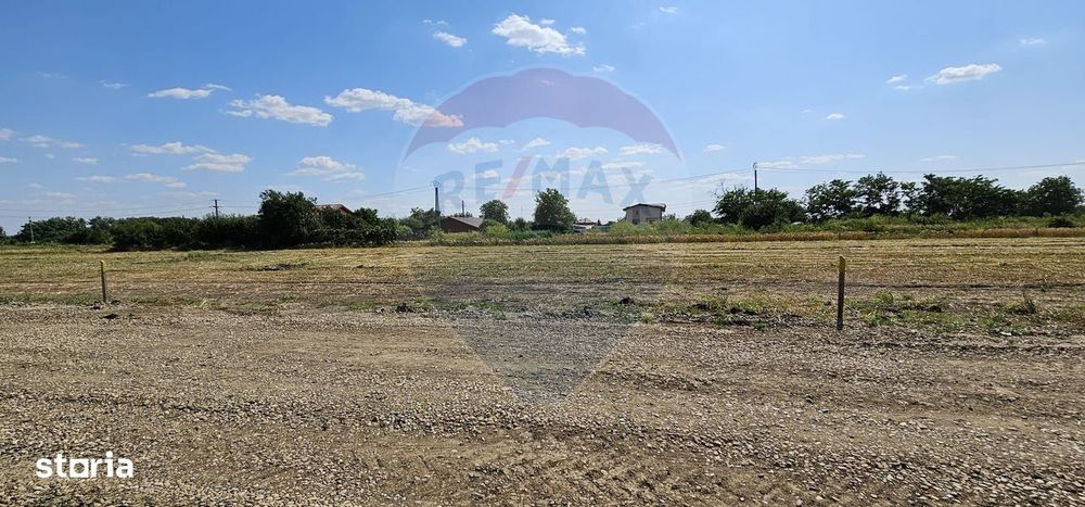 Terenuri intravilane Frumușani – Preț excelent, investiție sigură!