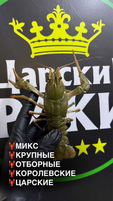 Крабы, мидии, лангустины, раки. Регулярный завоз.