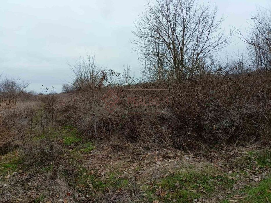 Земя в землището на с. Равна гора