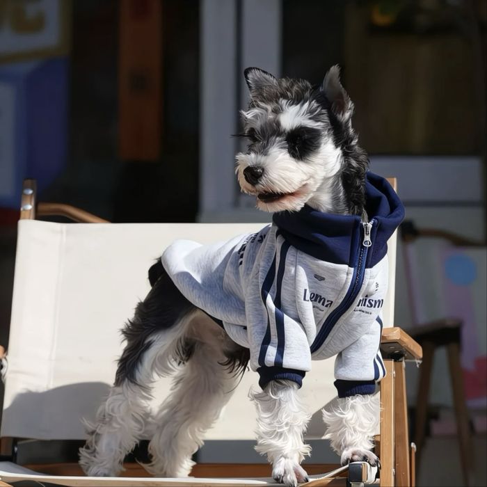 Одежда для животных