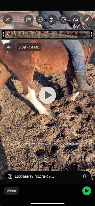 Продается "Тай" Отличный