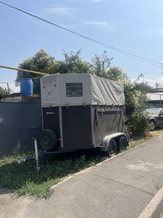 Коневоз прицеп в хорошем состоянии