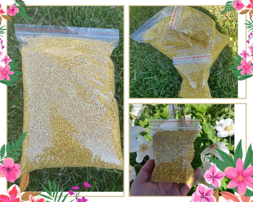 Пчелен Прашец 2026