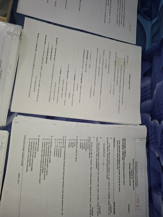 Materiale Bacalaureat