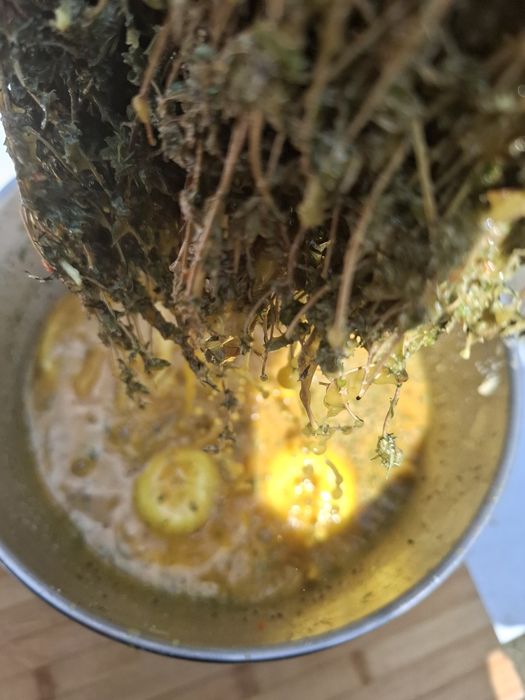 Proțap porc oaie pui