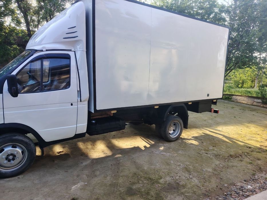 Gazel sotka sotiladi