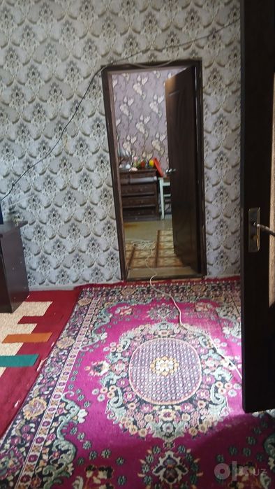 Ховли уй, Кибрай 3,7 сотих