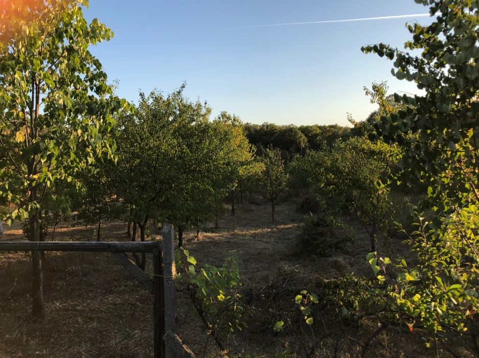 Teren extravilan Paulesti 1000mp