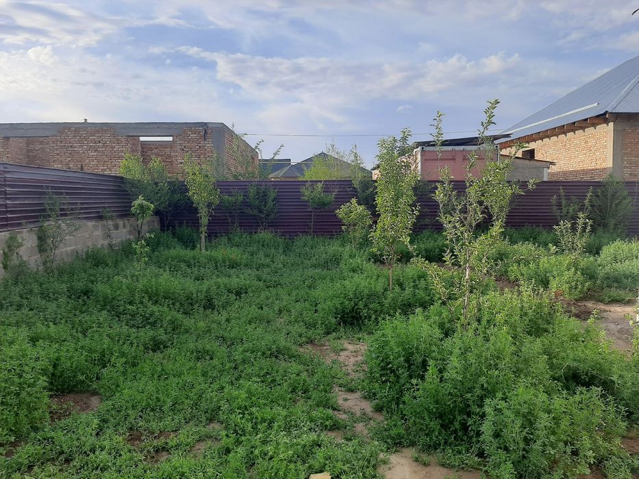 Продается дом береке