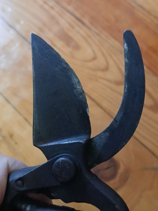 Стари ретро лозарски ножици