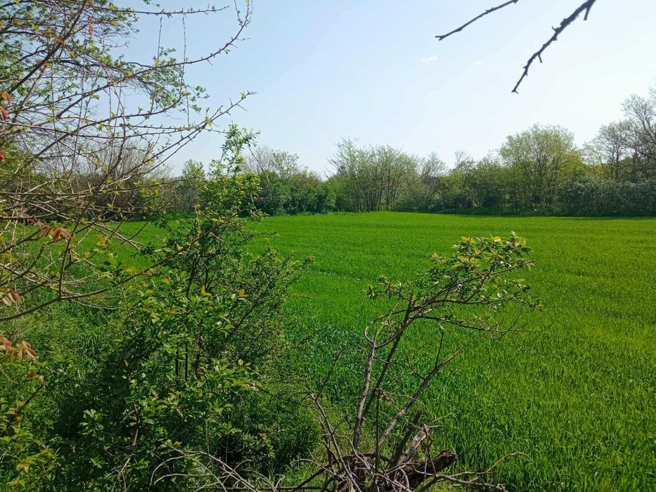 Продава се Парцел в Монтана, Идеален център - 1900 кв.м за 11 €/кв.м - Снимка #3