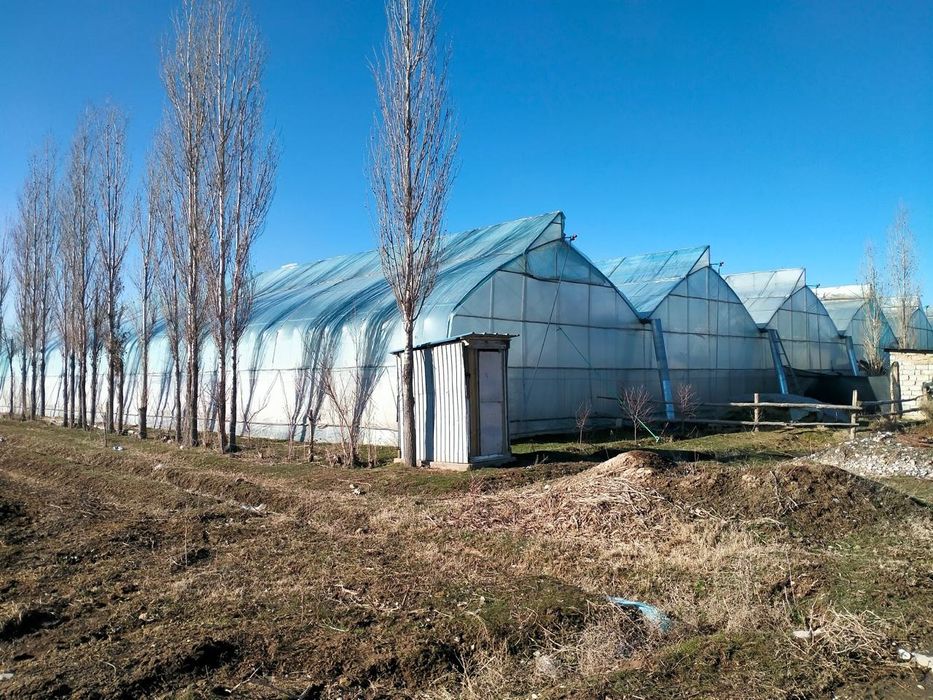 Продается теплица