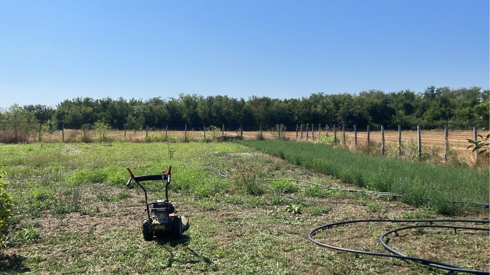 Teren 6.150 mp intravilan Gradistea, Ilfov