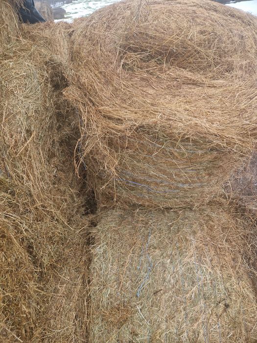 Baloti de fan 120×120