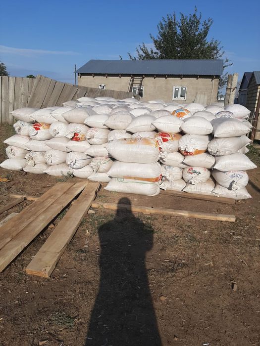 Продам опилку для крыши