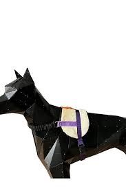 Шлейка для собак от турецкого производителя Jimipet