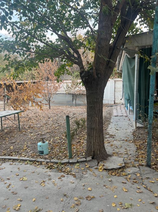 Yuqorichirchiq tumani Saksonota MFYda 420kv/m Dacha sotiladi