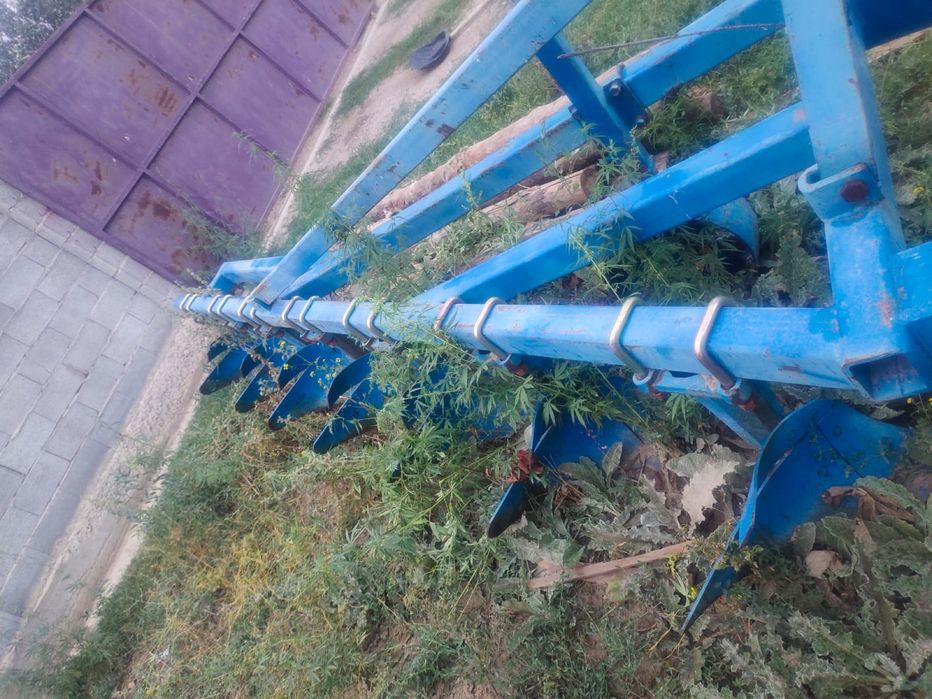 Бұлық сатылады. Жаңа