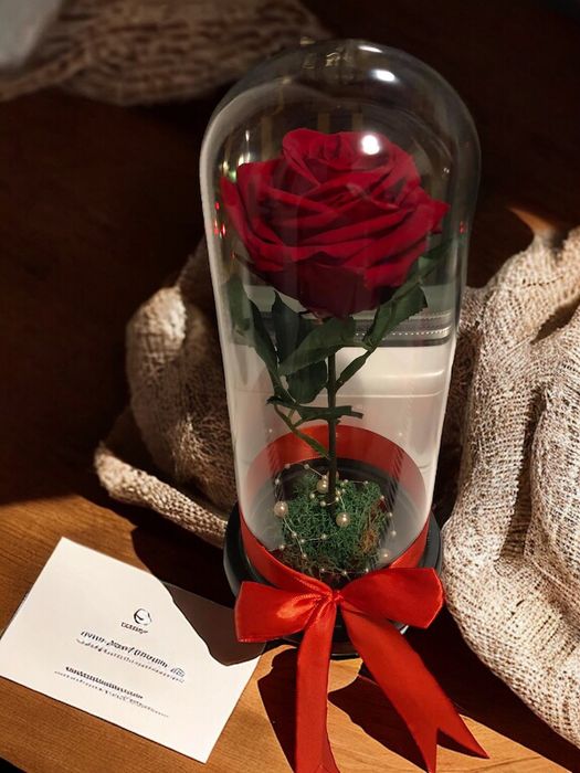 Cadou criogenat in cupola de sticla