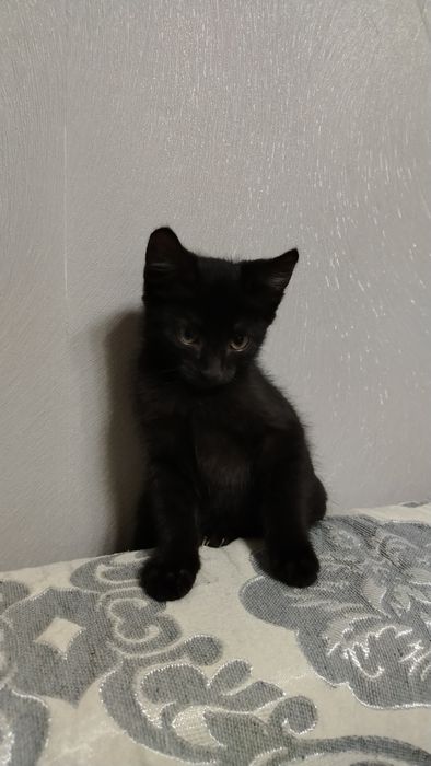 Мальчик 2,5 месяца