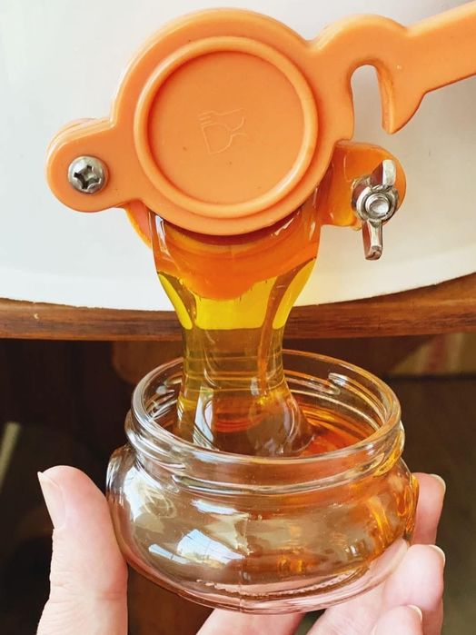 Miere polifloră de vânzare.