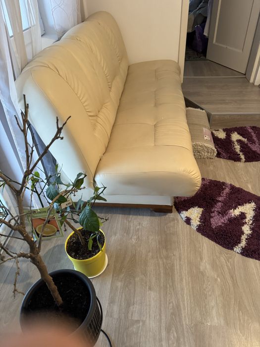 Canapea din Piele naturala