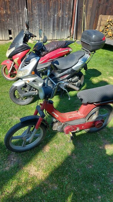 Scutere de vanzaré 80 cm in acte de 50. Carte identitate