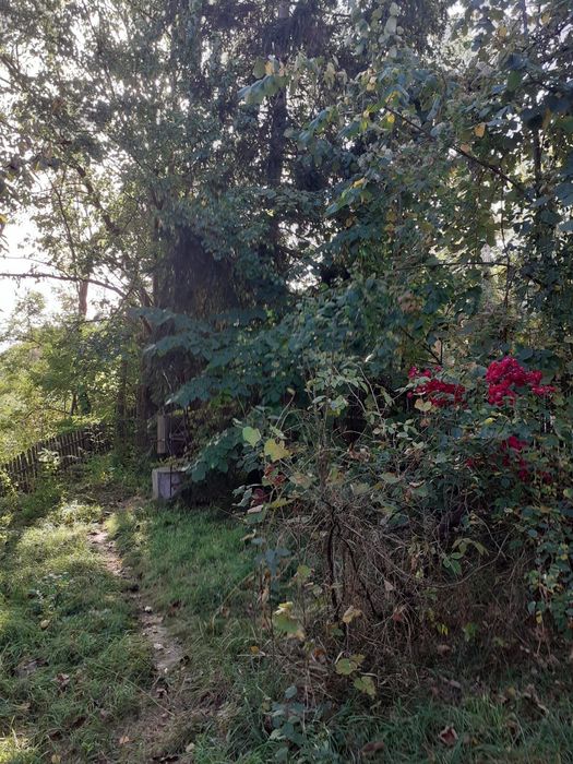 Teren Sosea Principala Dedulesti