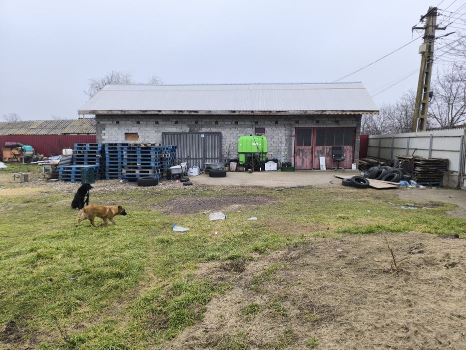 Casă de vânzare Maxenu Buzau