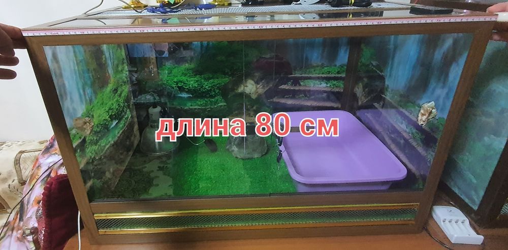 Террариум  продам