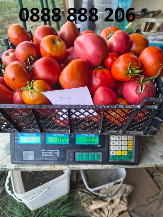 Продавам вкусни домати.