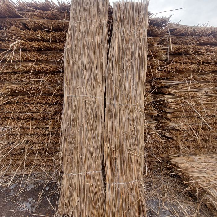 Қамыс Камышы Маты